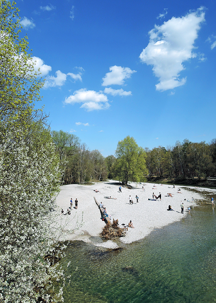Spring in the Isar meadows on Flaucher