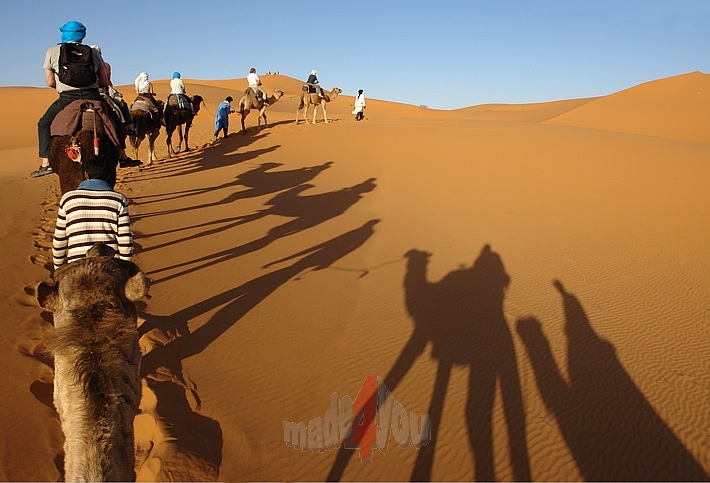Camelride in the sand dunes of Merzouga