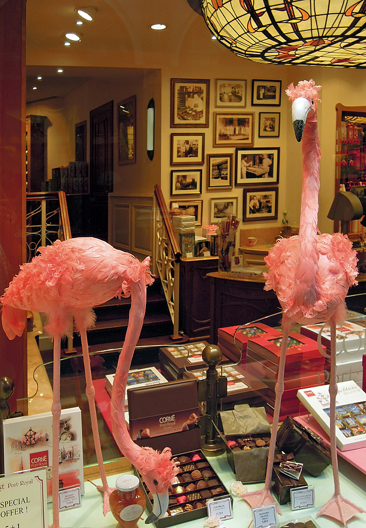 Flamingos Neuhaus Chocolatier