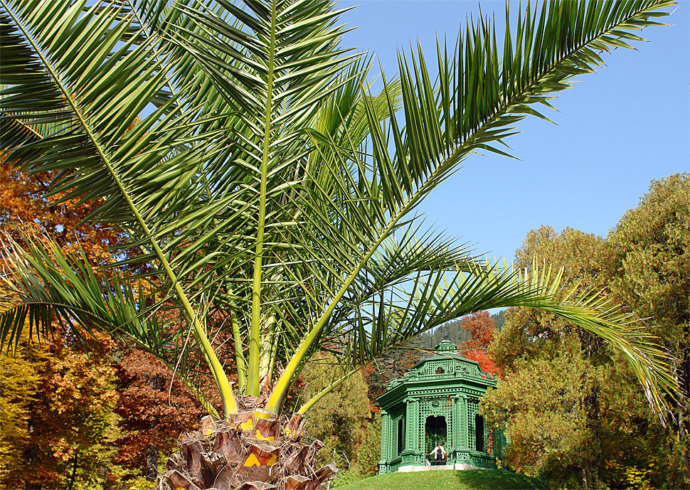 Palace Linderhof pleasure garden