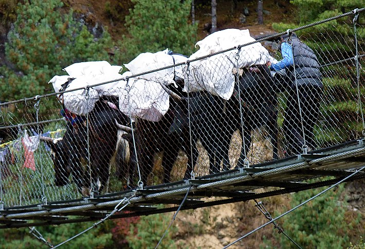 The trucks of the mountains cross a swingbridge upon the milk river
