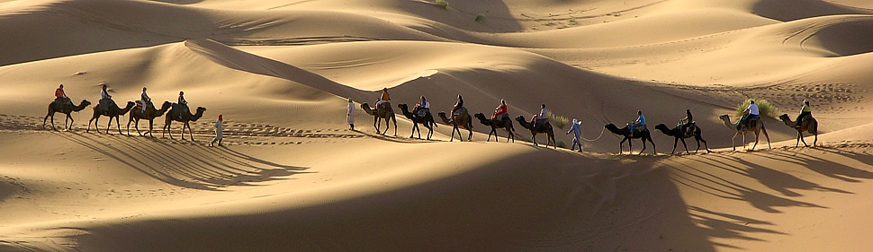 Camelride in the desert of Merzoga