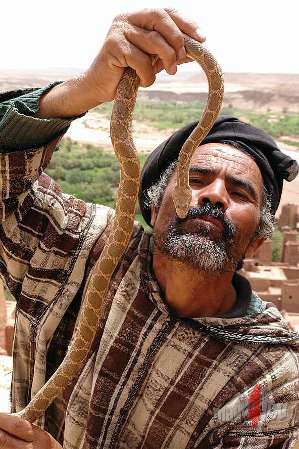 Snake charmer in Kasbah Ait Ben Haddou