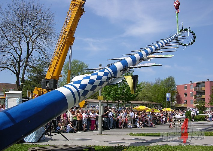 Maypole on crane hook in Munich district Thalkirchen