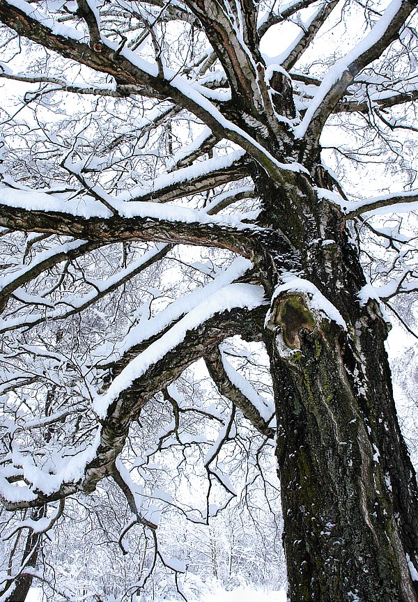 Winter fairy tale in Munich