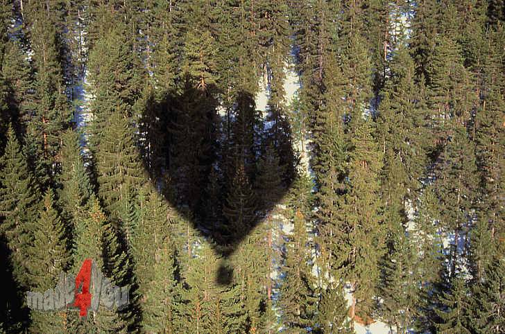 Balloon shadow upon European spruce forest