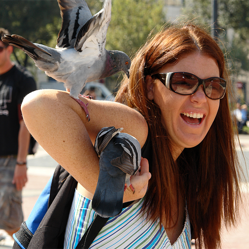 Mega fun by the pigeon attack in Barcelona