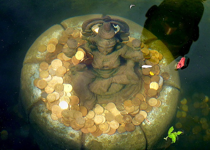 Coins in the wishing fountain