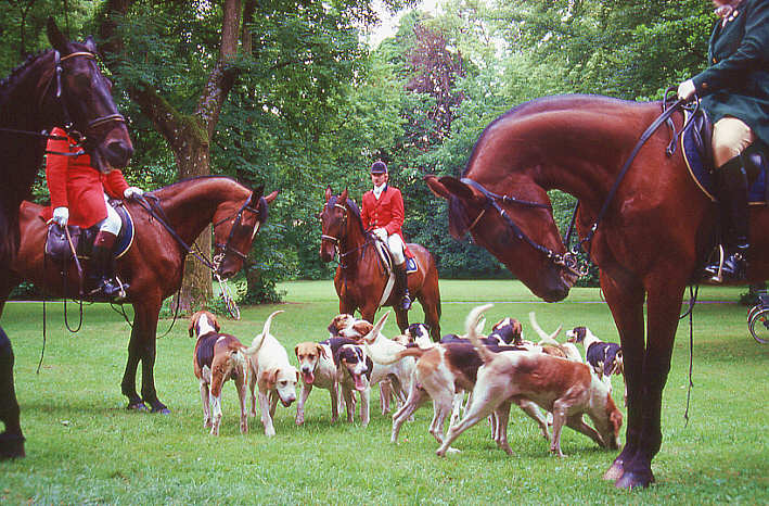 Hunting party with horses and dogs in English Garden