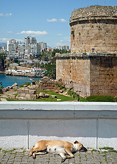 afternoon nap near Hidirlik Tower on cliffs of Antalya