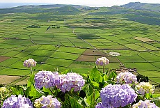 Viewpoint Serra do Cume on Terceira