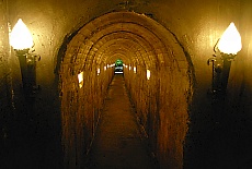 Tunnel to volcanic cave Algar do Carvao