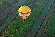 Rank fields on the river Nile