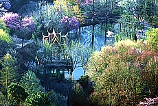 Buddhist Thai Pagoda in Westpark