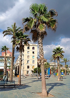 Beach promenade with palms