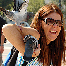 Mega joke with pigeons attack in Barcelona