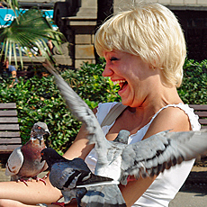 Mega fun with pigeons attack in Barcelona