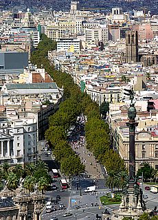 Green tree band Las Ramblas in Barcelona