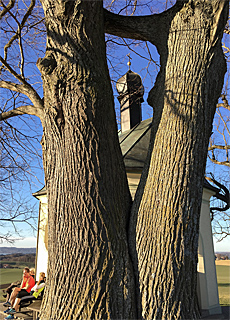 Frst Tegernberg mit Maria Dank Kapelle am Starnberger See