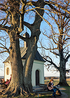 Aussichtspunkt Frst Tegernberg am Starnberger See