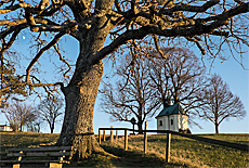 Frst Tegernberg mit Maria Dank Kapelle am Starnberger See