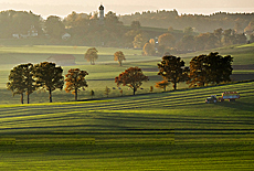 Blick vom Frst Tegernberg Richtung Starnberger See