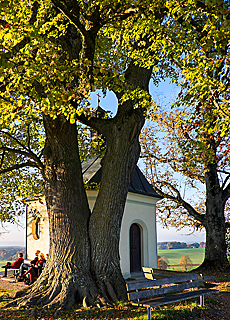 Aussichtspunkt Frst Tegernberg am Starnberger See