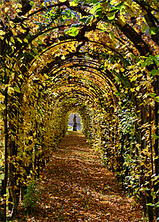 Linderhof Palace walkway in autumn