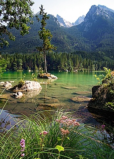 Zauberwald am Hintersee in der Ramsau