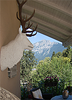 Hirsch im Tivoli Hotel mit Hochstaufen Blick