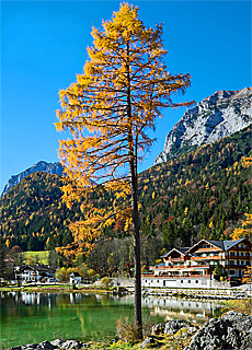 Herbst am Hintersee in der Ramsau