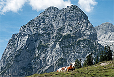 Halsalm im Klausbachtal