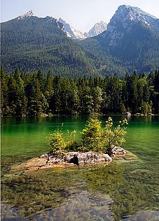 Zauberwald am Hintersee in der Ramsau