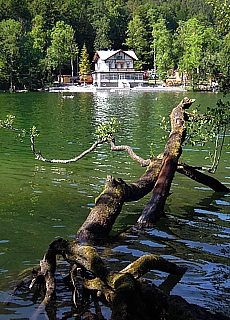 Thumsee bei Bad Reichenhall