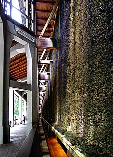 Wandelgang im Gradierwerk vom Kurpark in Bad Reichenhall