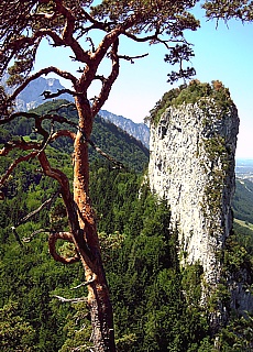 Barmstein Klettersteig