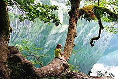 Fee im Zauberwald am Obersee des Königssees