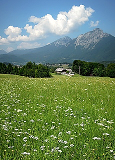 View from the Wolfschwang Alm towards Hochstaufen mountain