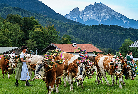 Sennerin beim Almabtrieb von der Rossfeldalm nach Oberau