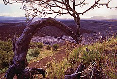 Saddle Road to Mauna Kea summit