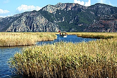 Schilf Sumpflandachaft von Dalyan