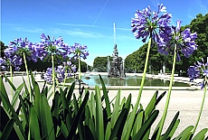 Schlosspark von Herrenchiemsee