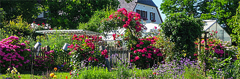 Blumengarten auf der Fraueninsel