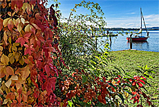 Herbst Stilleben auf der Fraueninsel