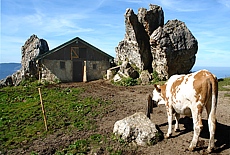 Almhtte auf der der Kampenwand