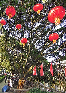 Colorful parkway in Guilin