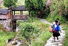Countrywomen in the rice terraces of Longsheng