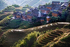 Rice terraces in Longsheng