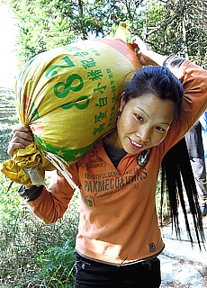 Countrywoman in the rice terraces of Longsheng