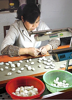 Silk factory in Luoyang